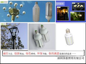 國(guó)惠高端20w節(jié)能玉米燈綠色照明燈具產(chǎn)品的資料 中國(guó)照明網(wǎng)